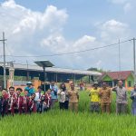 Lewat Inovasi SolarSonic IoT Guard, UMM Berjaya di Abdidaya Ormawa 2025